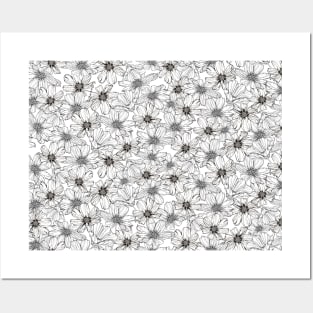 White Cosmos flowers Posters and Art